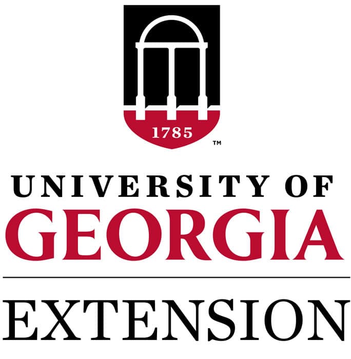 Curriculum gallery 1