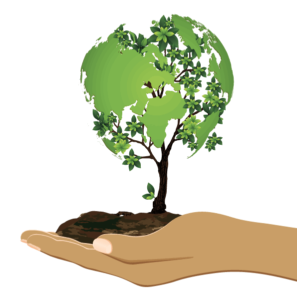 Water conservation in gardens