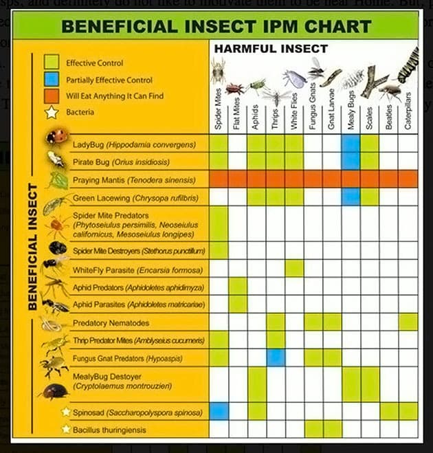 Insect control 4
