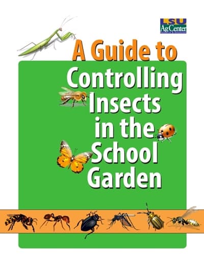 Insect control 1