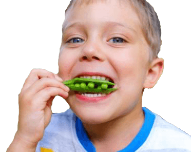 Young boy biting a pod of peas