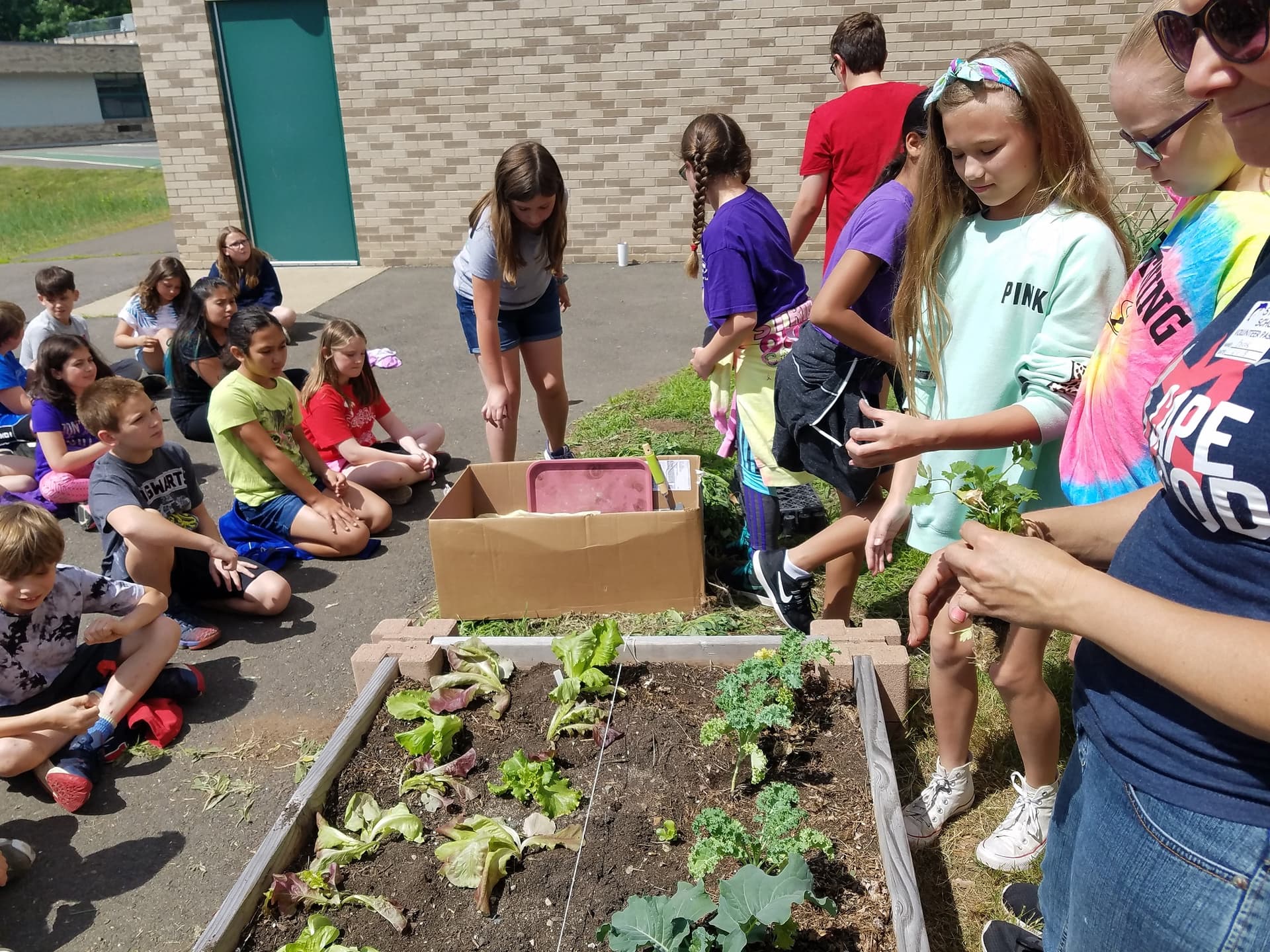 Curriculum gallery 6