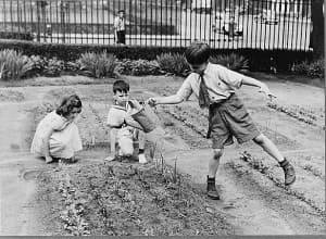 Historical black and white photograph of children working in a school garden, circa early 1900s