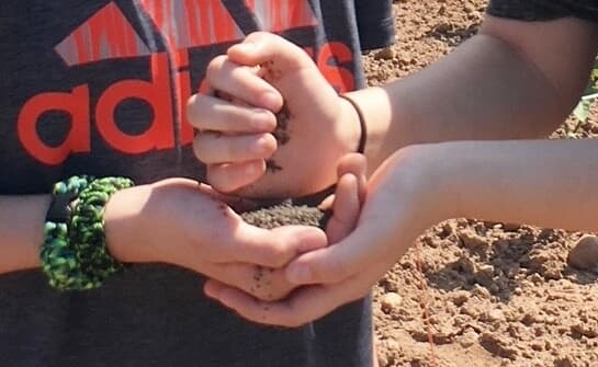 Close-up of hands holding soil