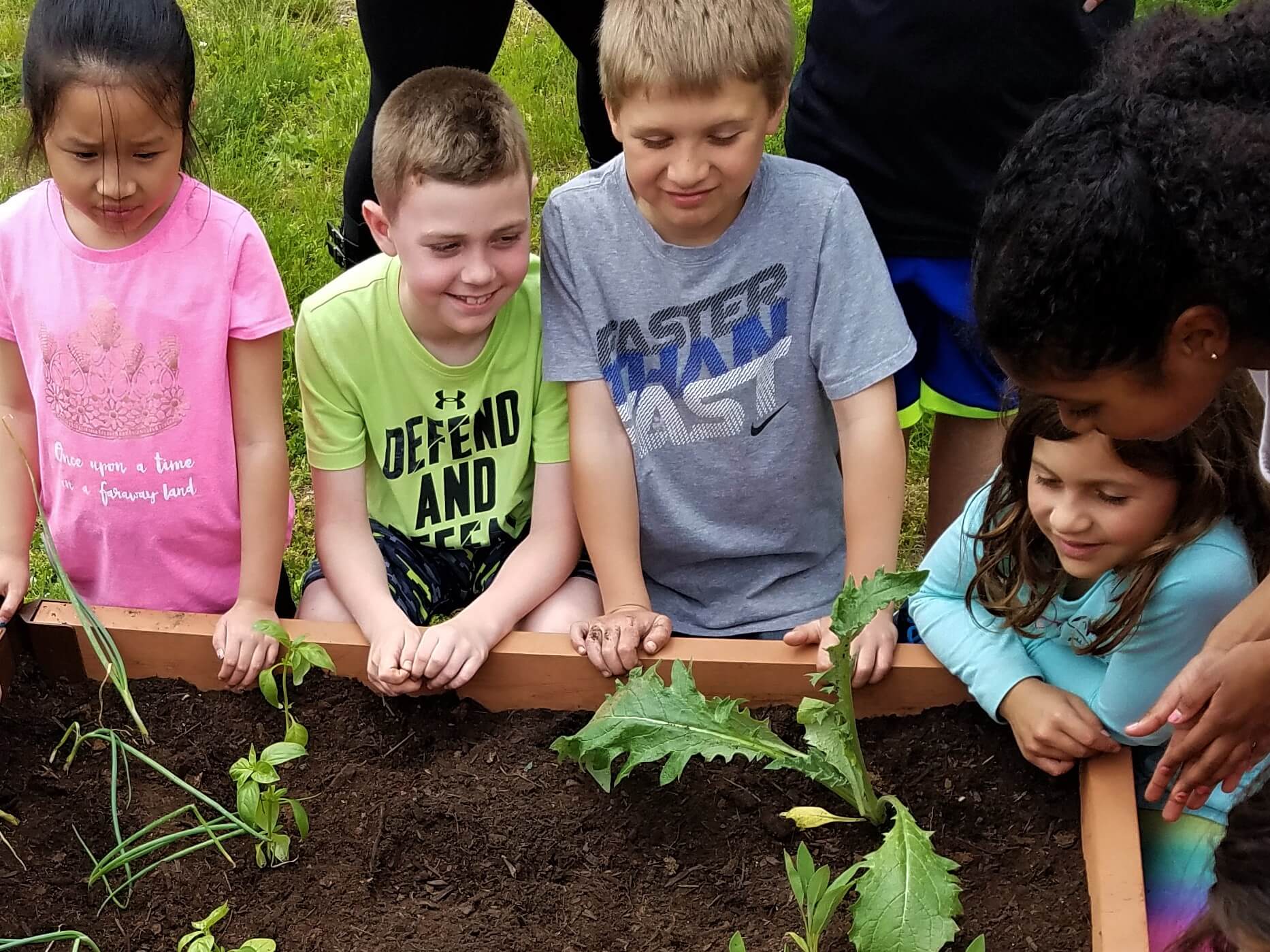 Kids looking at plants in raised garden bed