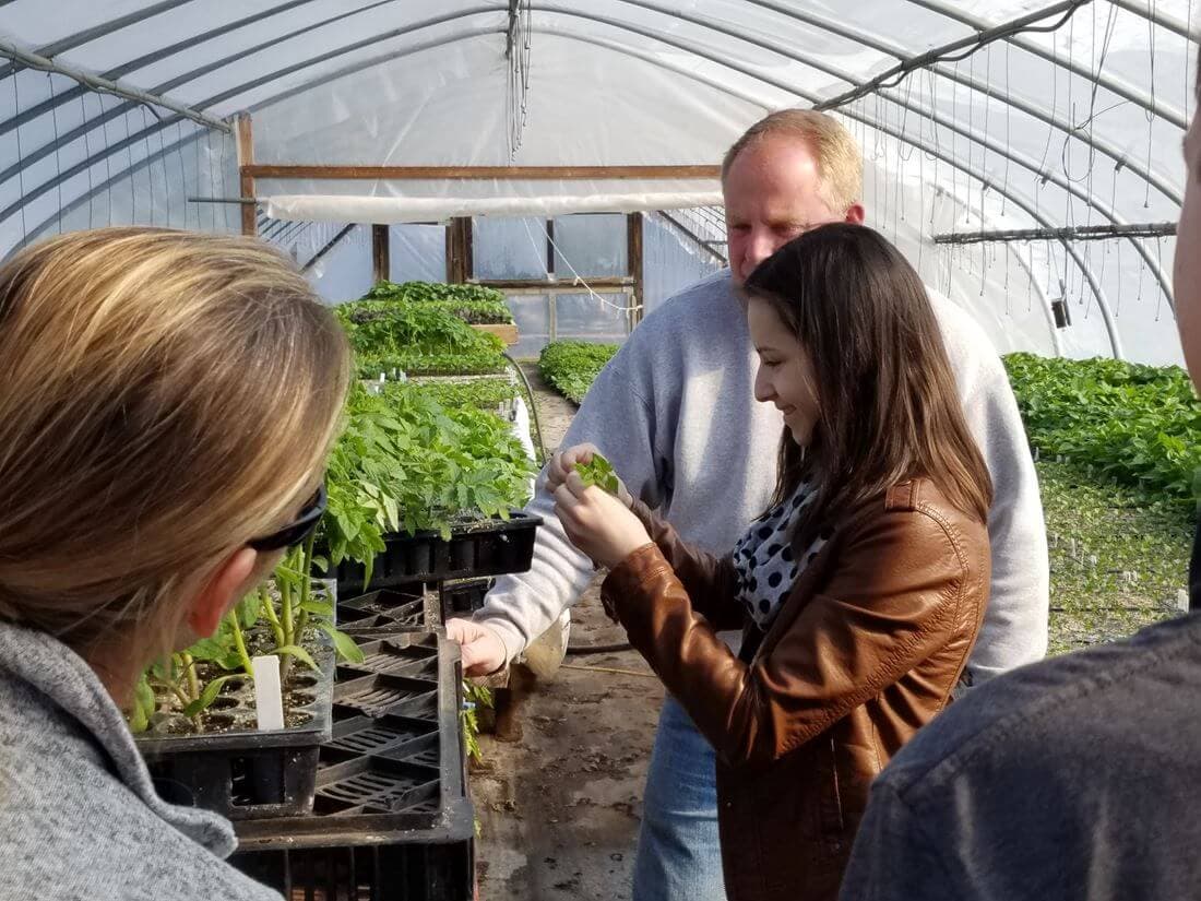 People examining seedlings in greenhouse