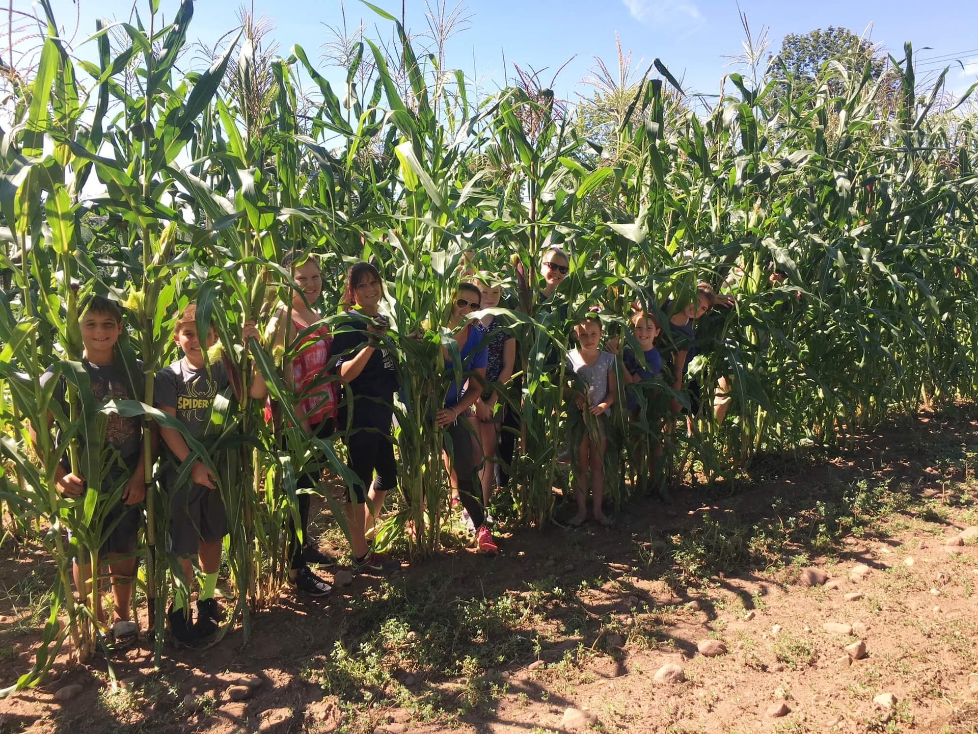 Children and adults standing in cornfield